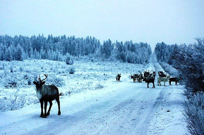 «Последнее танго в Полыньчане» Часть 5
