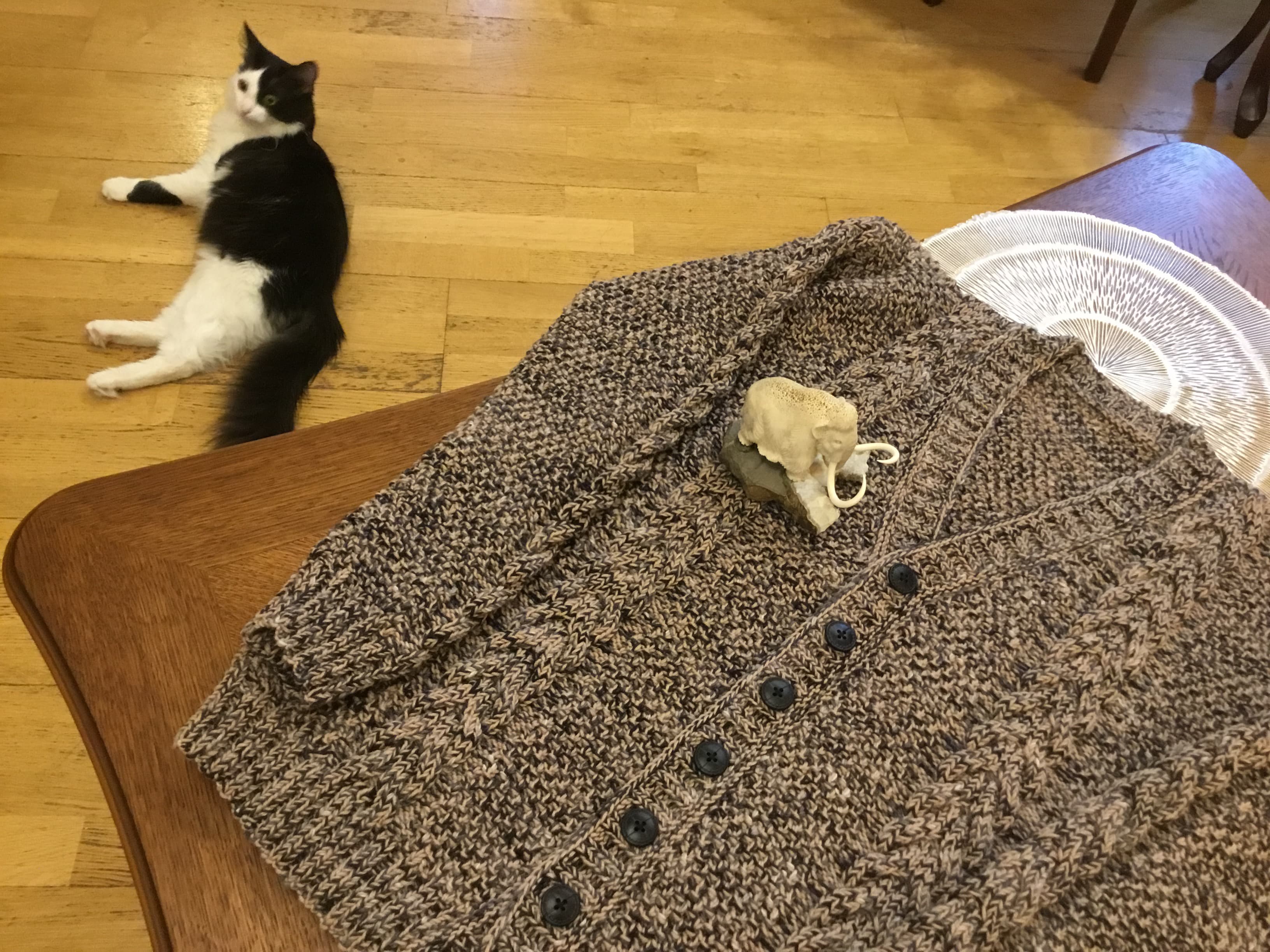 Котики всегда в тему